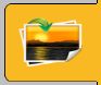 Import images tab